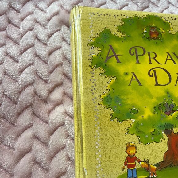 Kids A Prayer A Day Book - Picture 2 of 8